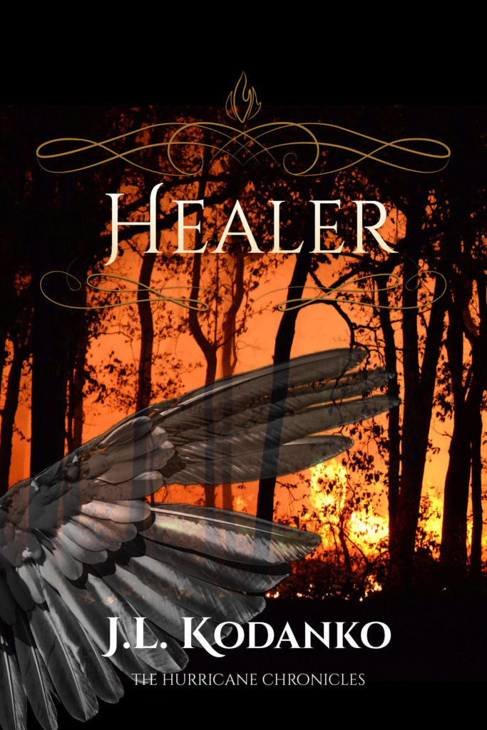 Healer Cover